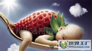 網(wǎng)站設(shè)計(jì),網(wǎng)站托管,網(wǎng)站裝修,維護(hù)推廣服務(wù),贈(zèng)送域名_二手設(shè)備轉(zhuǎn)讓_世界工廠網(wǎng)中國(guó)產(chǎn)品信息庫(kù)