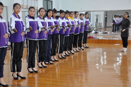 最具魅力的學(xué)生社團(tuán) 舞蹈、動(dòng)漫與禮儀服務(wù)，你知道幾個(gè)？