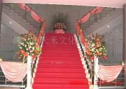 深圳市天禾文化禮儀公司 以專業影像定格每一份禮儀之美